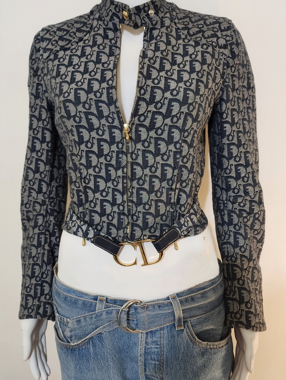 Rare Chrisitian Dior Trotter Monogram Zip Jacket with Gold CD Belt Sz 4 - Picture 2 of 4